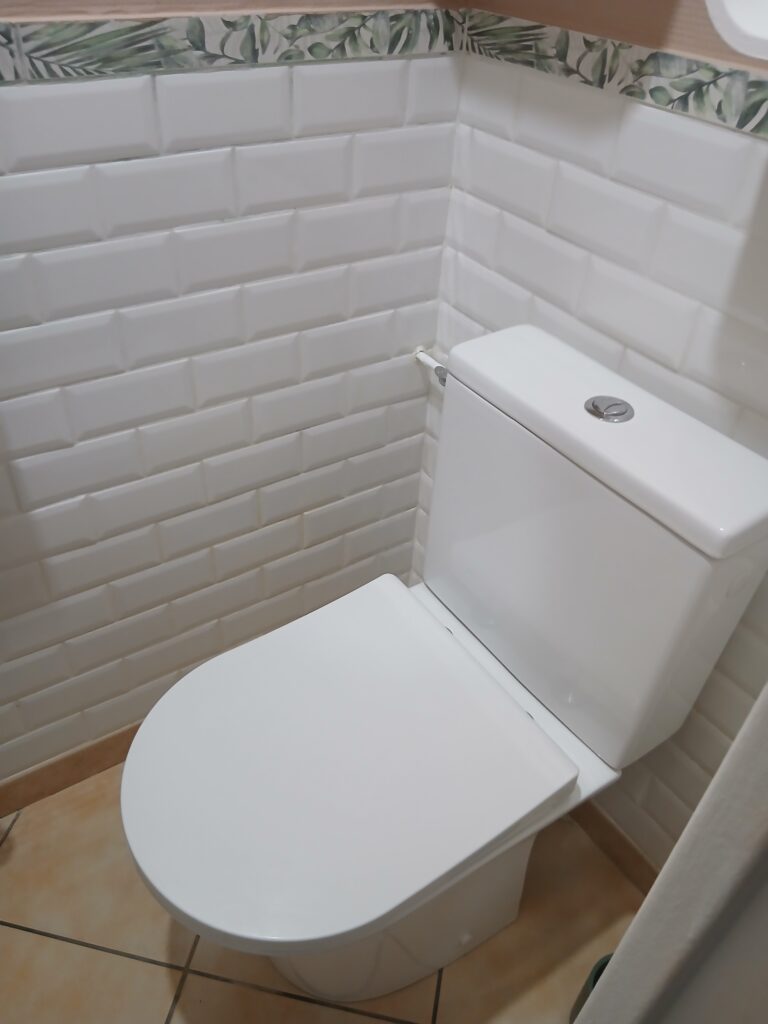 Pose WC sans bride à Sauvian avec faïence métro blanche et frise végétale, plombier chauffagiste qualifié